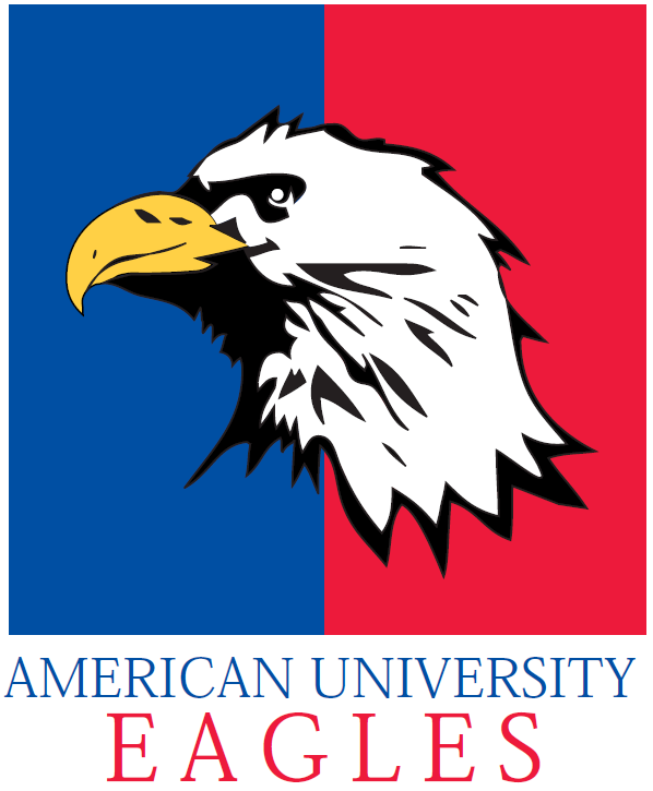 American Eagles 1985-2005 Primary Logo vinyl decal